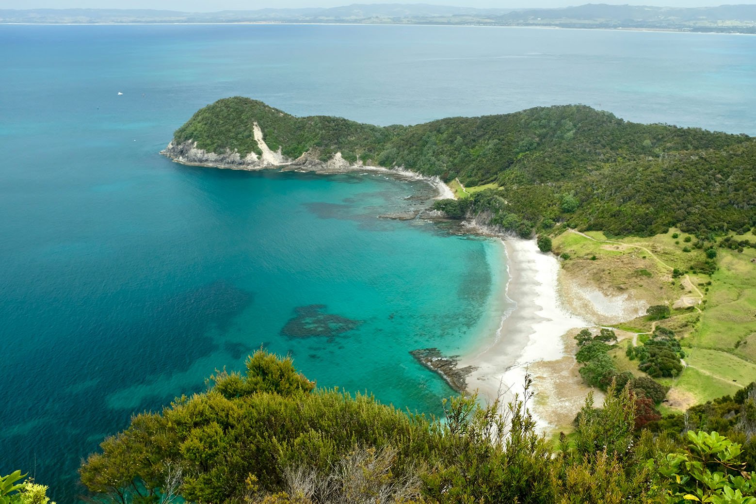 whangarei-heads-smugglers-bay