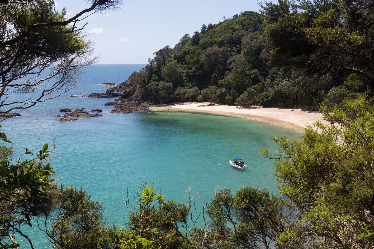 Whale Bay, New Zealand - February 16, 2015: Whale Bay at the Tutukaka coast on the North island.