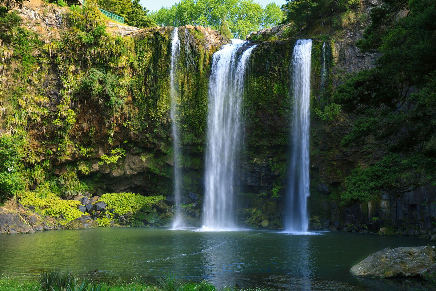 Whangarei Falls, Northland, New Zealand